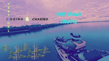 Vertical Jigging and Chasing Post Spawn Crappie
