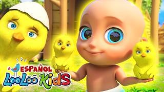🐥Los Pollitos Dicen Pio Pio , A Ram Sam Sam, La Vaca Lola - Canciones Infantiles para niños
