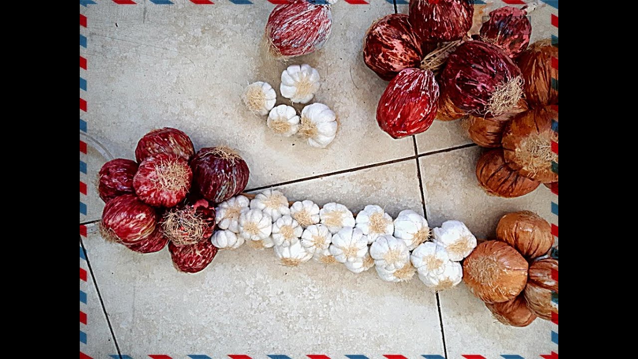 Como Fazer alho e Cebola usando Saco Plástico  e sem agulha