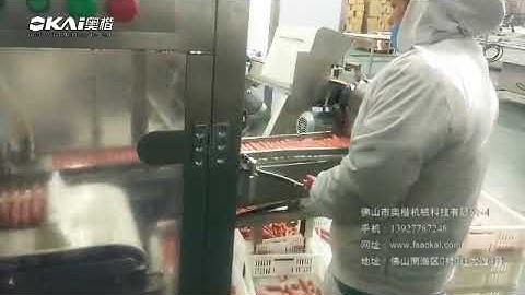 Intelligent Automatic Packing Line professional for sausage