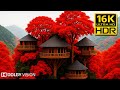 MOST BEAUTIFUL VIEWS Of The Earth 16K VIDEO ULTRA HD 240fps BGM