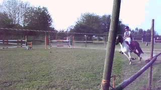 Basis Yakari Jumping Het Rozenhof