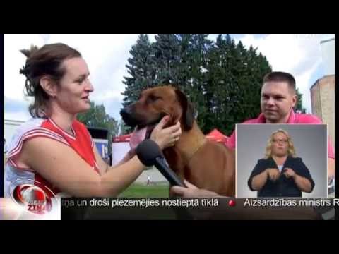 Video: Pasaules pet izstāde