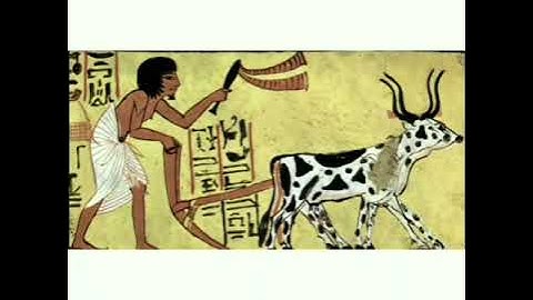 STD-V-SOCIAL-TOWARDS HISTORY -2