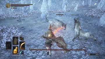 Dark Souls 3 Cinders Mod (Company of Champions) Champion