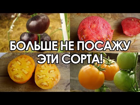 Video: De Barao Tomato Line