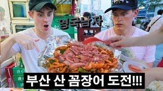 부산의 산 꼼장어에 도전한 영국남자 조엘!! // Live Eel Challenge in Busan!!