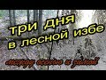 Три дня в Лесной Избе.Между осенью и зимой.