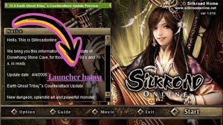 Silkroad Online Launcher açıldıktan hemen sonra kapanıyor %100 Çözüm