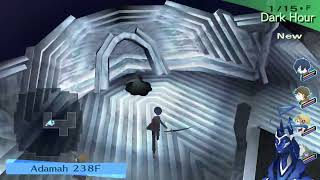 P3P - Stream VOD [44]