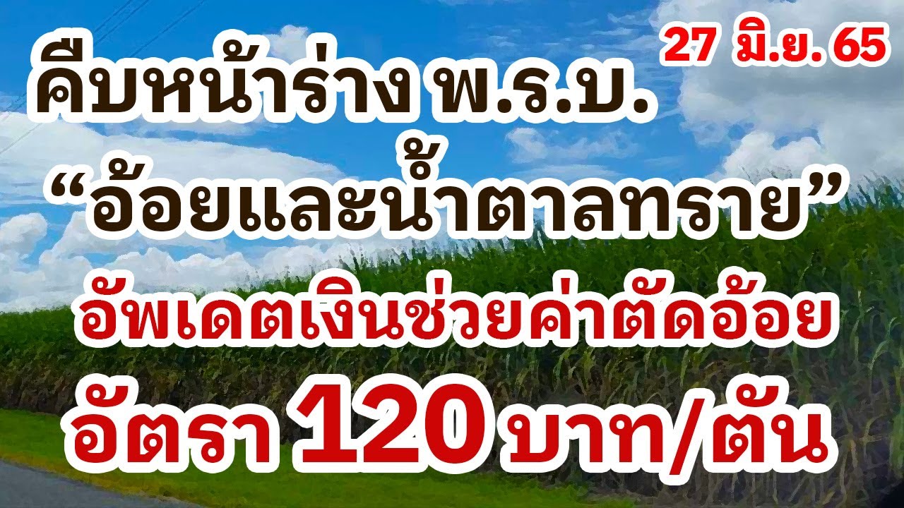 คืบหน้าร่าง พ.ร.บ.อ้อยและน้ำตาลทราย (27 มิ.ย.) อัพเดตเงินช่วยค่าตัดอ้อย pm 2.5 อัตรา 120 บาทต่อตัน | สรุปข้อมูลโดยละเอียดที่สุดเกี่ยวกับราคา น้ํา ตาล ทราย มิตร ผล