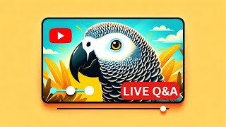 Gizmo and Family Q&A Live