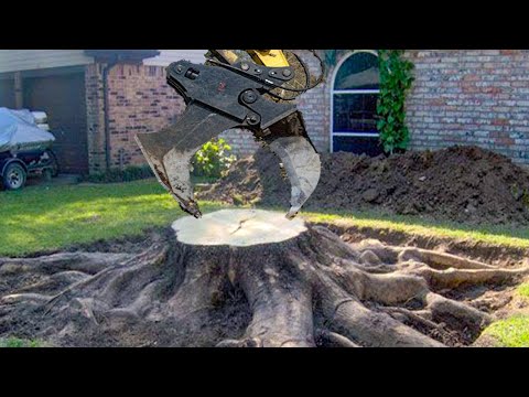 9 Dangerous Biggest Stump Ripper Machines Working - Fastest Stump Removal Grinding Equipment