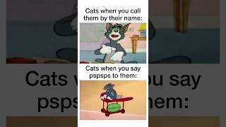 Cat Memes 5 #MEMES #Memesdaily #Shorts 1341