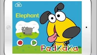 Elephant | 英文單字卡（動畫卡）| PadKaKa 英文互動學習