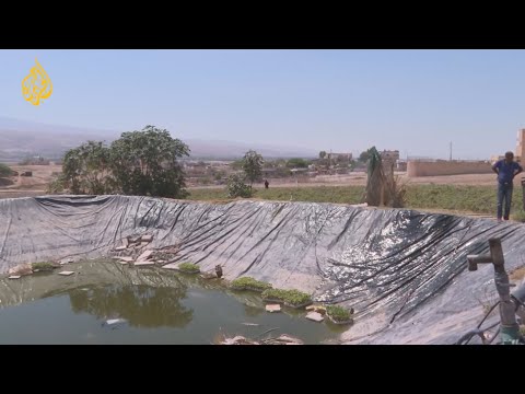 الأردن.. أزمة شح المياه في موسم الصيف تؤرق المزارعين وتهدد محاصيلهم 🇯🇴
