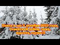 Поход в лес 3 декабря 2023 года, Освейский район, зима, красота, глушь!!!