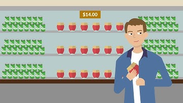 Scott v. Illinois Case Brief Summary | Law Case Explained