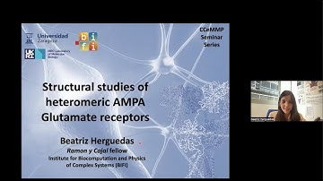 Structural studies of heteromeric AMPA Glutamate receptors