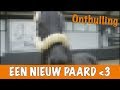 IK HEB EEN NIEUW PAARD!!!♥️ | PaardenpraatTV