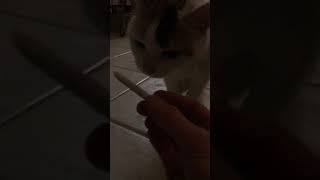 Full Nip Joint Guide