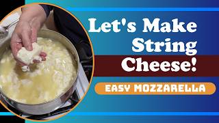 How to make fresh Mozzarella String Cheese from Raw Milk How to make fresh Mozzarella String Cheese from Raw Milk