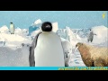 Почему пингвины не мерзнут босиком? (мультфильмы для умных детей "Формула Ума!")