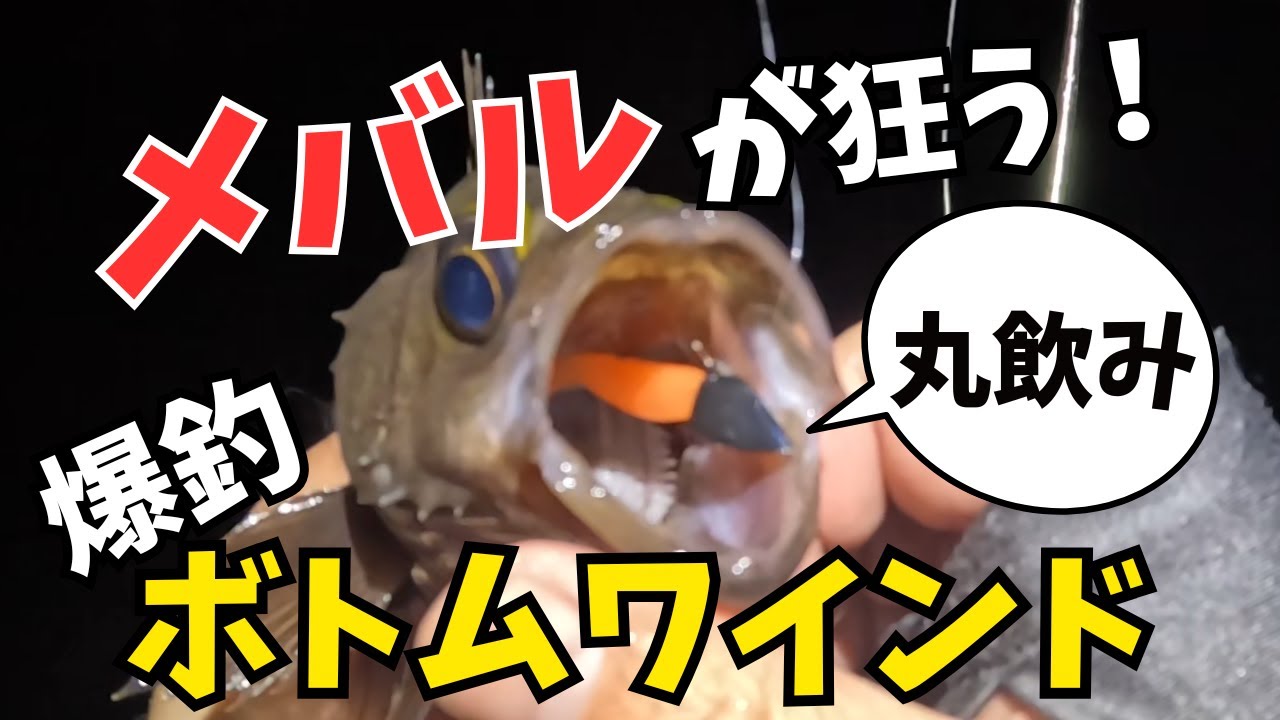 【玉野市/宇野港】ボトムワインドでメバル釣りまくり！