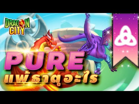 [Dragon City] PURE แพ้ธาตุอะไร ! PURE Weakness |Dragon Master นักสู้สังเวียนมังกร |#3| amSiNE