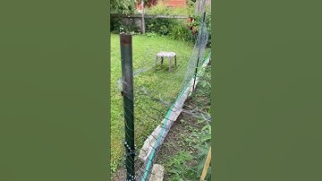 Homemade salute rocket