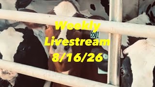 WEEKLY LIVESTREAM 26