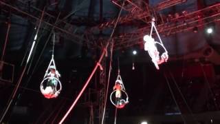 Lyra Hoop, CYR Wheel