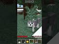 New wolf in minecraftknightn633