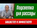 Подсветка для рассады. Бюджетно и эффективно.