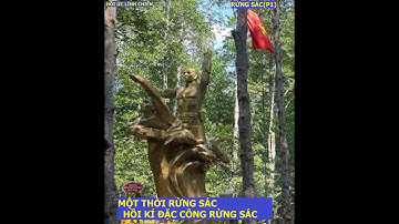 RỪNG SÁC(P1) ÔNG BẢY DỪA KHÔ / MỘT THỜI RỪNG SÁC/Hồi ức lính chiến