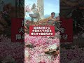性癖が歪んだローマ皇帝・ヘリオガバルス #歴史ミステリー #shorts