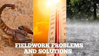 Which problems are likely to be encountered during fieldwork | The solutions