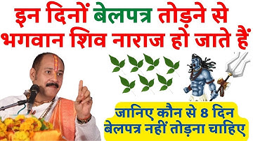 जानिए कौन से 8 दिन #बेलपत्र नहीं तोड़ना चाहिए || बेलपत्र कब नहीं तोड़ना चाहिए