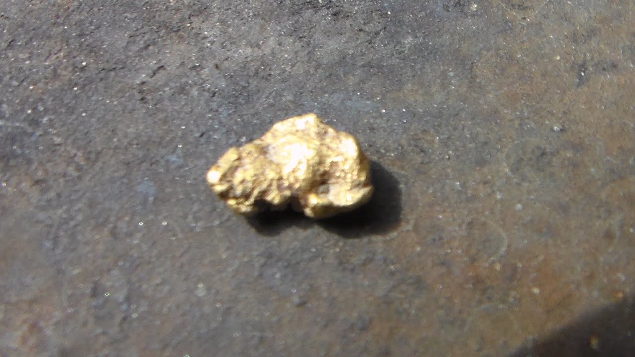 Gold Prospecting 13 Gram Nugget Found YouTube