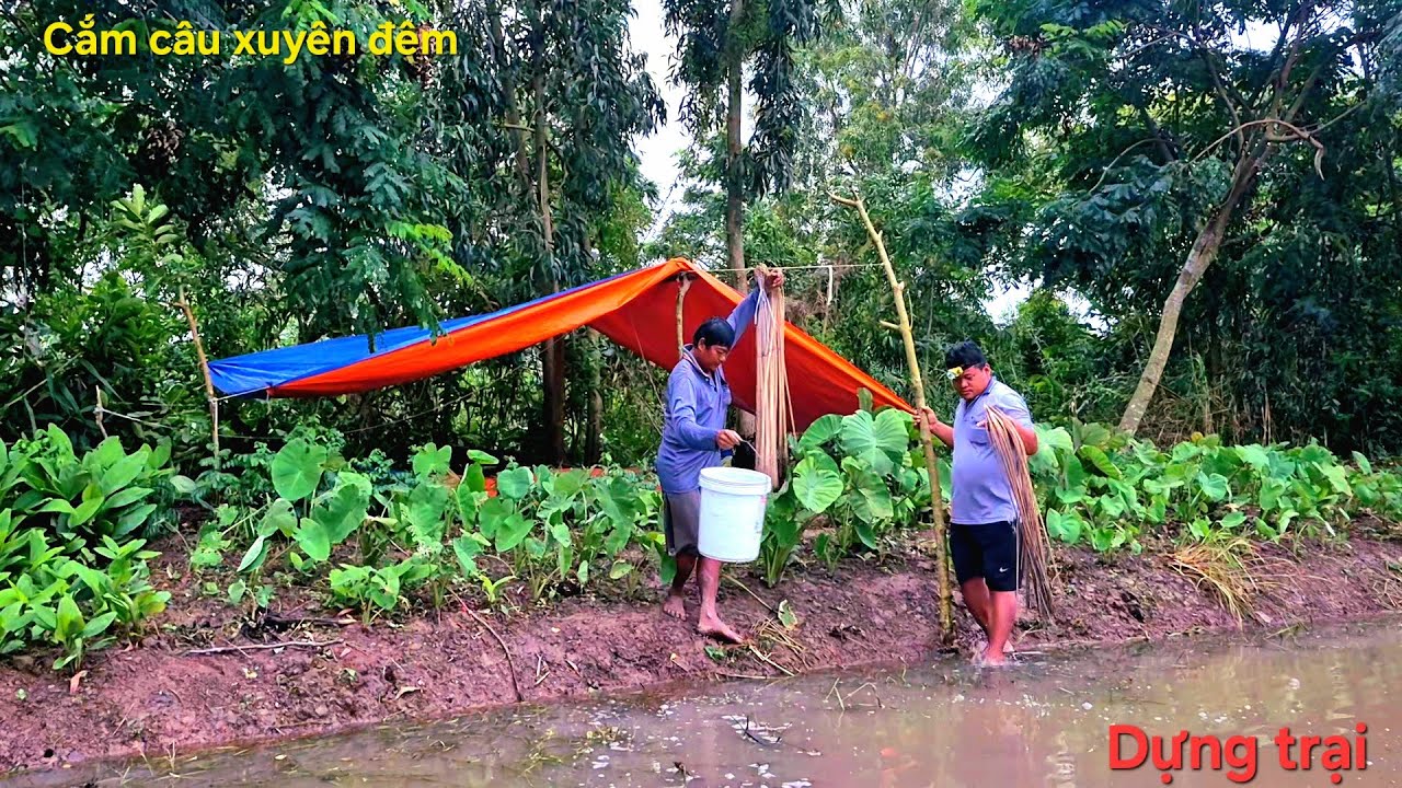 Dựng trại cắm câu xuyên đêm || Thưởng thức nồi canh chua đơn giản mà ngon