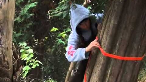 S1 M3 - Assessment Procedures for Site Feature Documentation