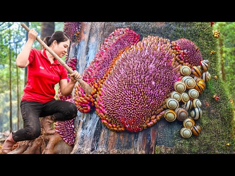 The girl Harvesting Forest Snail &amp; Go to Market Sell | small snails cling to the rotten tree trunk