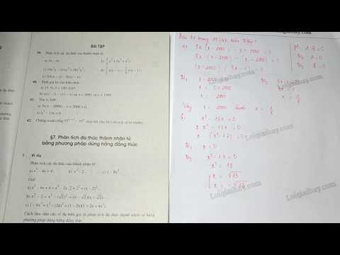 Video Giải bài 41 trang 19 SGK toán 8 tập 1 - youtube