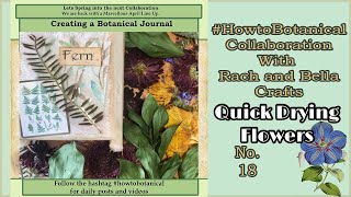 #howtobotanical Collab No.18 • Quick Drying Flowers & Foliage for Junk Journals • Two easy methods