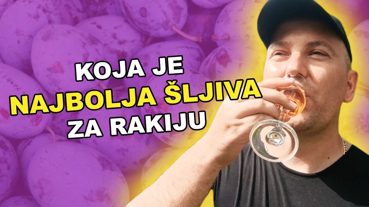 KAKO IZABRATI I KOJA JE IDEALNA ŠLJIVA ZA VAŠU DOMAĆU RAKIJU