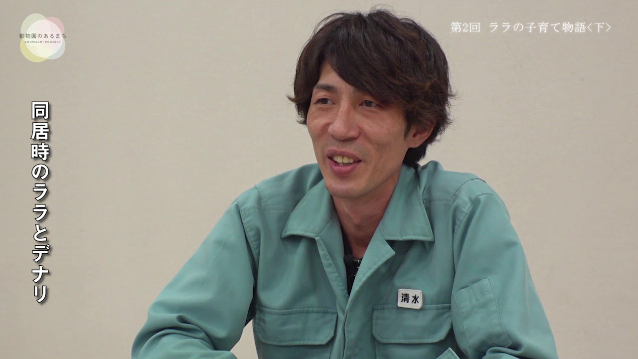 動物園のあるまちプロジェクト第8弾 つなげ 命のバトン 第2回ララの子育て物語 下 札幌市円山動物園 飼育員 清水道晃さん Youtube