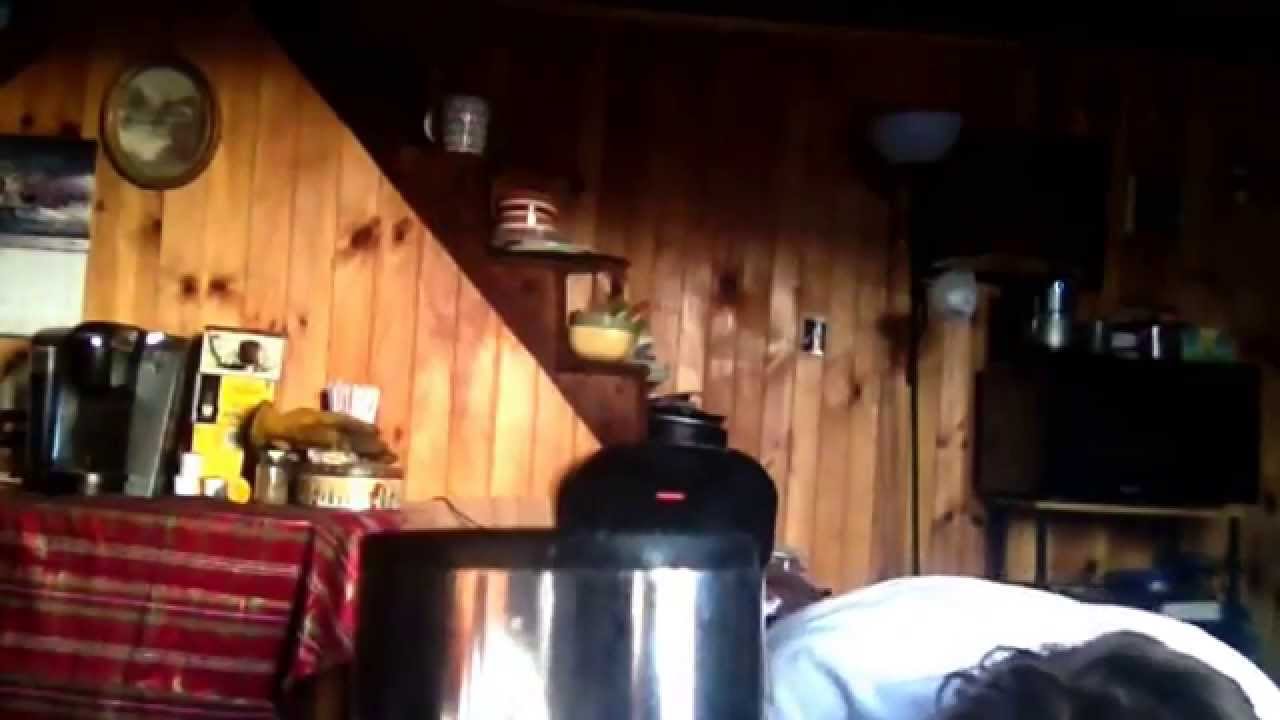 Random Mondays S3 Episode 5: Donald, GUS, and Chris Oh My!