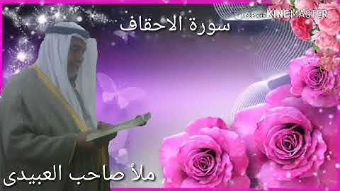 سورة الاحقاف كاملة =هديتى الى ارواح امواتكم اخوانى واخواتى الاطهار=ملا صاحب العبيدى