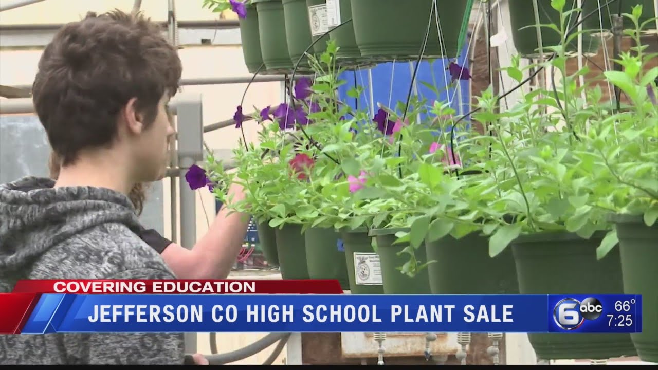 Jefferson County High School Plant Sale YouTube