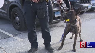 Nine dogs graduate from Connecticut K9 training program
